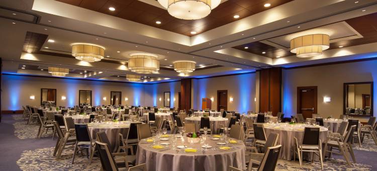 休斯顿纪念城威斯汀酒店(The Westin Houston, Memorial City)图片