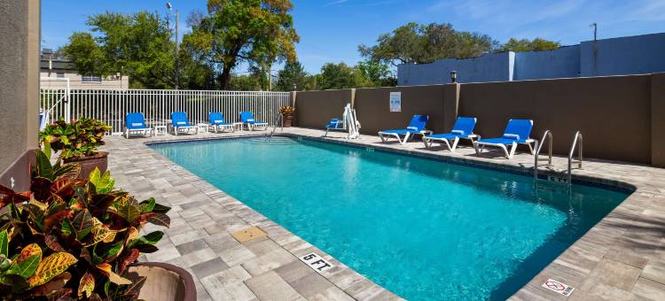 坦帕贝斯特韦斯特酒店(Best Western Tampa)图片