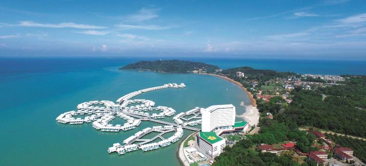 丽昇大红花(Lexis Hibiscus Port Dickson)图片