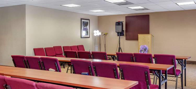克莱顿加纳舒适套房酒店(Comfort Suites Clayton - Garner)图片