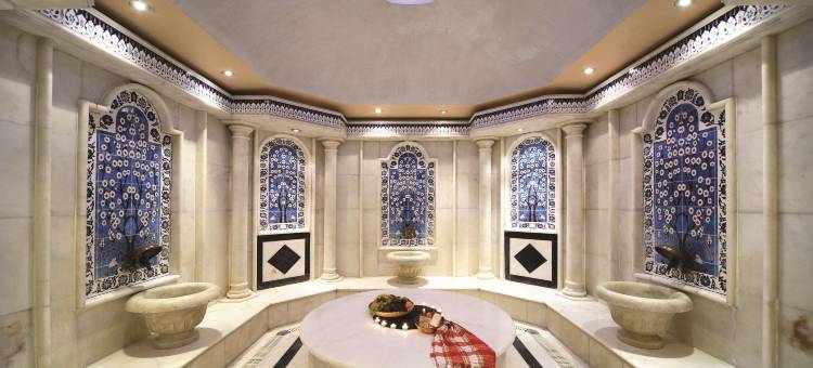 托普卡帕艾瑞辛酒店(Eresin Hotels Topkapı)图片