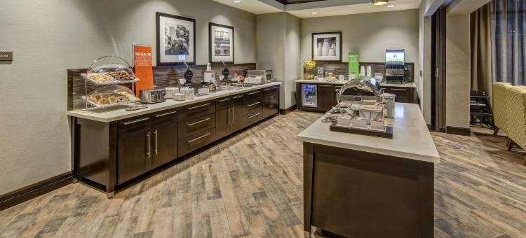 湾城欢朋套房酒店(Hampton Inn & Suites Bay City)图片