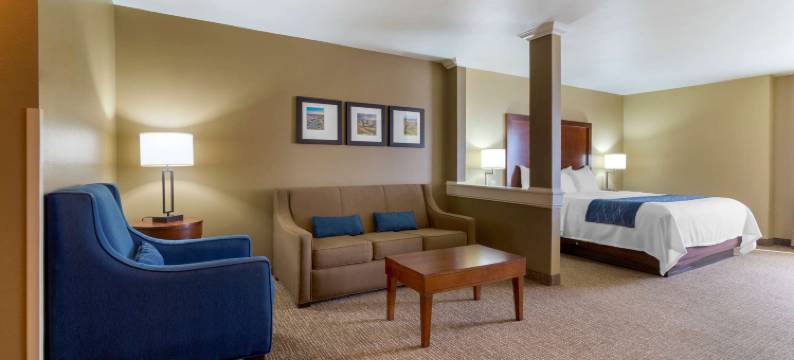 曼丹舒适套房酒店 - 俾斯麦(Comfort Inn & Suites Mandan - Bismarck)图片