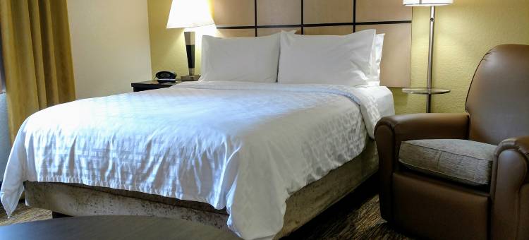 Candlewood Suites 奥利夫布兰奇by IHG(Candlewood Suites Olive Branch (Memphis Area))图片