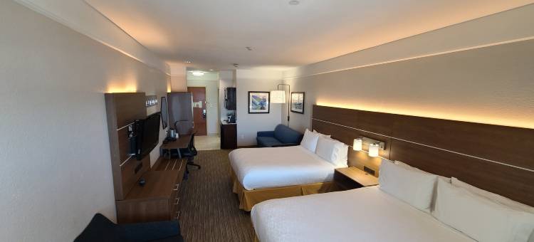 智选假日套房酒店加尔维斯顿西海堤(Holiday Inn Express & Suites Galveston West-Seawall)图片