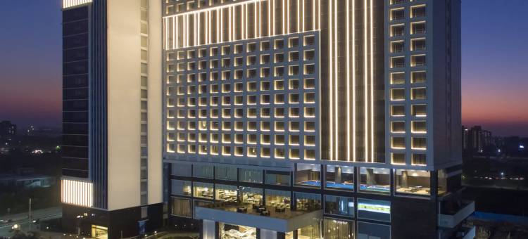 塔吉天际线艾哈迈达巴德酒店(Taj Skyline Ahmedabad)图片