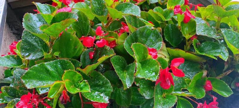 水云阁吧民宿(醴泉六路分店)图片