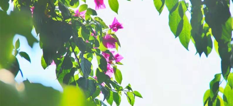 岸香怡来客栈(环海路分店)图片