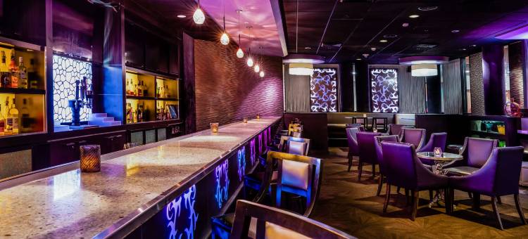 波士顿纳蒂克威尔威酒店 - 希尔顿启缤精选酒店(The Verve Boston Natick, Tapestry Collection by Hilton)图片