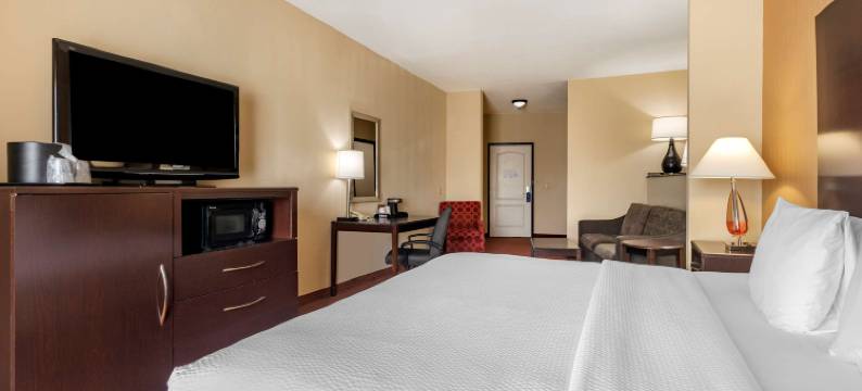 DFW机场西尤里斯贝斯特韦斯特优质酒店(Best Western Plus DFW Airport West Euless)图片