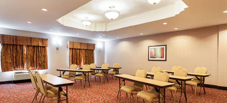 萨尔弗 - 查尔斯湖舒适套房酒店(Comfort Suites Sulphur-Lake Charles)图片