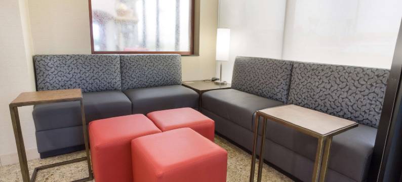 乔普林德鲁里套房酒店(Drury Inn & Suites Joplin)图片