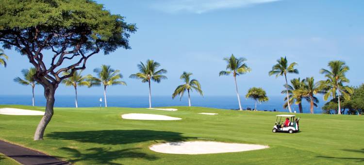 温德姆毛纳罗亚乡村酒店(Club Wyndham Mauna Loa Village)图片