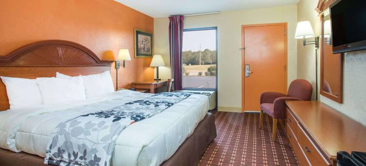 雅典温德姆戴斯酒店(Days Inn by Wyndham Athens)图片