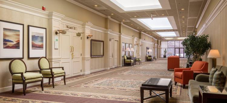 芝加哥西北/克里斯特尔莱克/会议中心假日酒店(Holiday Inn Chicago NW Crystal LK Conv Ctr)图片