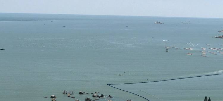 碧海观海公寓(览翠路4号分店)图片