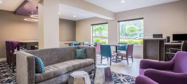 斯内尔维尔石头山拉昆塔温德姆套房酒店(La Quinta Inn & Suites by Wyndham Snellville-Stone Mountain)图片