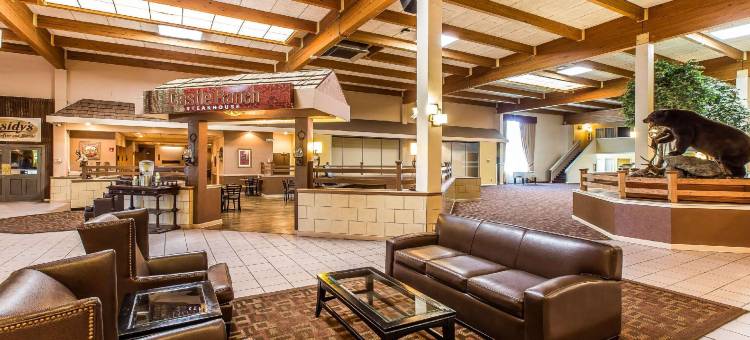 凯艺套房酒店(Quality Inn & Suites)图片