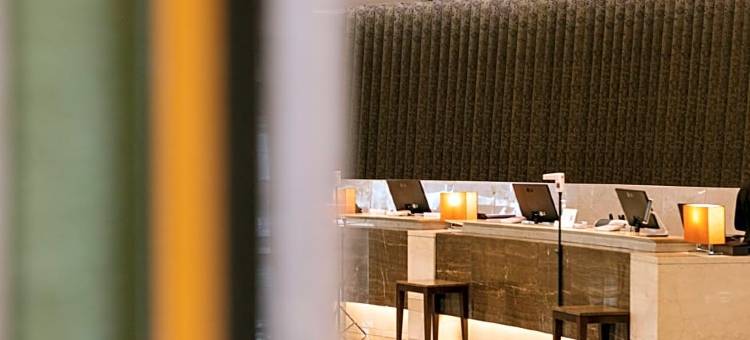 江南乐天世界酒店(Lotte Hotel World Gangnam)图片