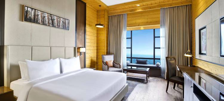 达拉姆沙拉丽笙度假酒店(Radisson Blu Resort Dharamshala)图片