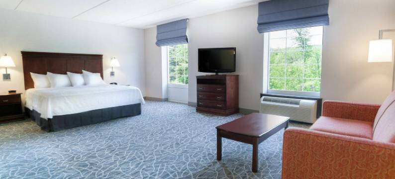 希尔顿欢朋套房酒店-波克夏尔雷那克斯(Hampton Inn & Suites Berkshires-Lenox)图片