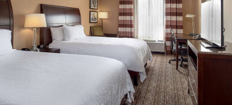 圣路易斯机场希尔顿花园酒店(Hilton Garden Inn St. Louis Airport)图片