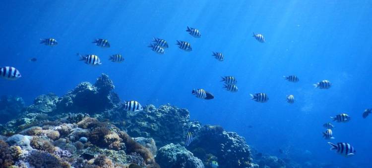 绿岛宁静海潜水民宿-城堡馆图片