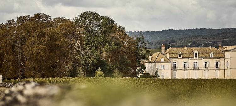 蒙特拉谢 COMO 酒店(Le Montrachet)图片