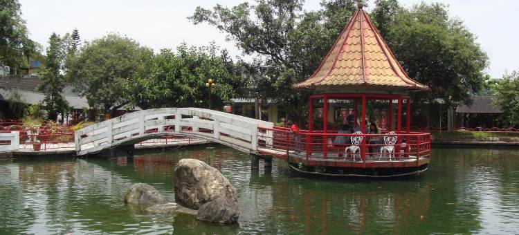 盛夏的軌跡图片
