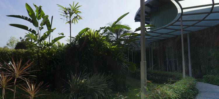 塔里克玛拉雅阿斯里酒店(Hotel Asri Tasikmalaya)(Hotel Asri Plaza Asia Tasikmalaya)图片