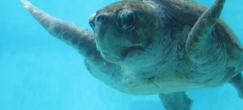 为什么之家旅馆(Guesthouse Nandeyanen - Hostel)图片