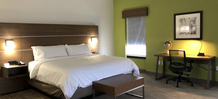 智选假日套房酒店富兰克林(Holiday Inn Express & Suites Franklin)图片