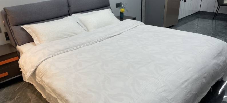 师院海际轻奢百汇商业街公寓(和平路分店)图片