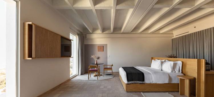 圣米格尔德阿连德阿尔博尔酒店，希尔顿启缤精选(Albor San Miguel de Allende, Tapestry Collection by Hilton)图片