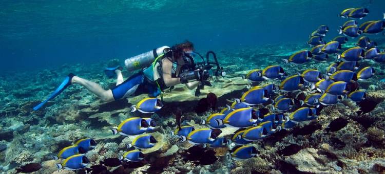 伊瑚鲁悦苑度假村(Dhawa Ihuru, part of Banyan Group)图片