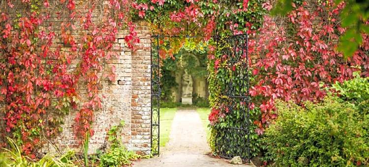 伊斯特维尔曼诺尔Spa酒店(Eastwell Manor, Champneys Hotel & Spa)图片
