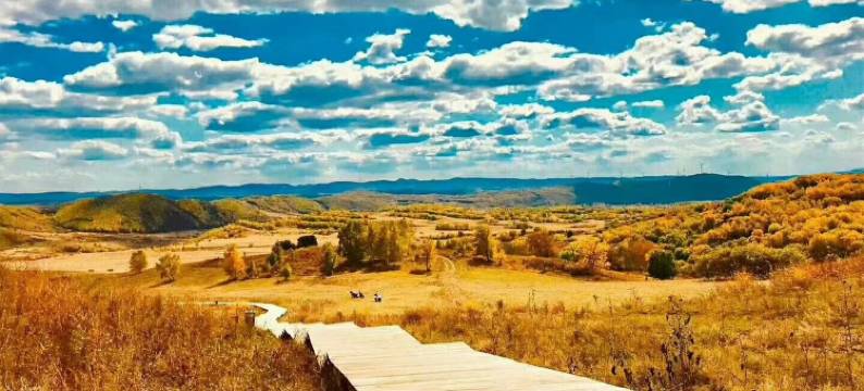 塞罕坝林场御道口牧场幸福来敲门家庭公寓(卧川路分店)图片