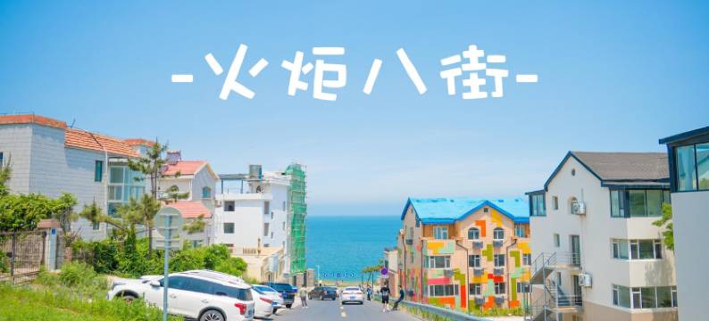 撸猫撸铁的房东大叔公寓(华兴南街分店)图片