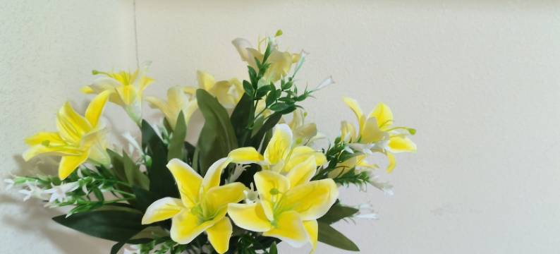 盈满民宿(常东路分店)图片