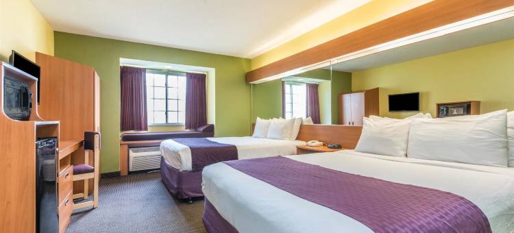 温德姆奥本恩的麦客达酒店(Microtel Inn & Suites by Wyndham Auburn)图片