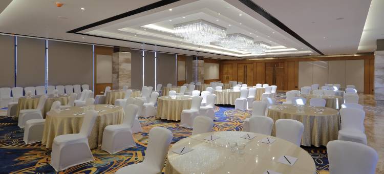 浦那欣贾瓦迪希尔顿花园酒店(Hilton Garden Inn Pune Hinjawadi)图片