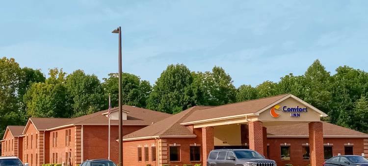 舒适酒店(Comfort Inn Near Downtown & Blue Ridge Pkwy)图片