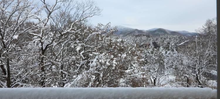 Fraisier 民宿(Pension Fraisier)图片