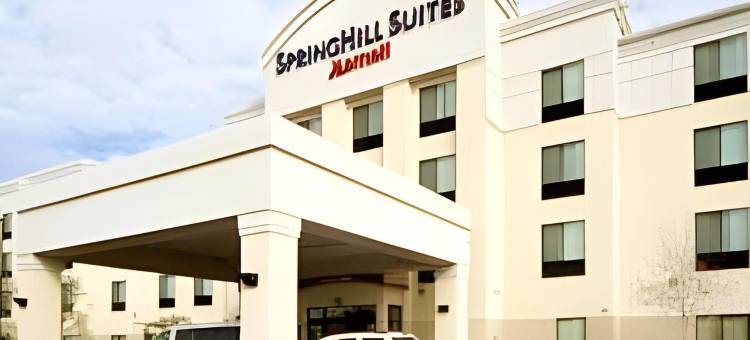 拉雷多万豪SpringHill酒店(SpringHill Suites Laredo)图片