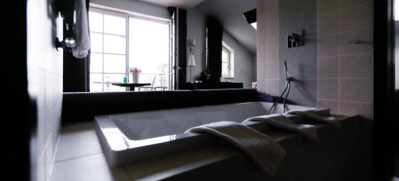 西塞城艺术家宿舍酒店(Hotel Künstlerquartier Seezeichen)图片