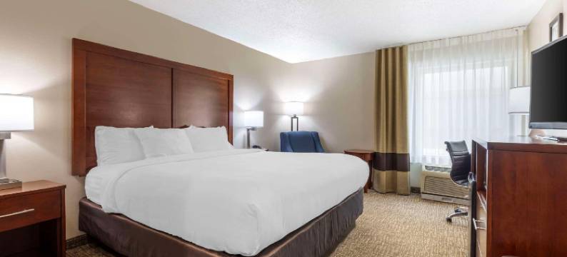 康福特酒店及套房，坦普尔医疗中心(Comfort Inn & Suites Temple - Medical Center)图片