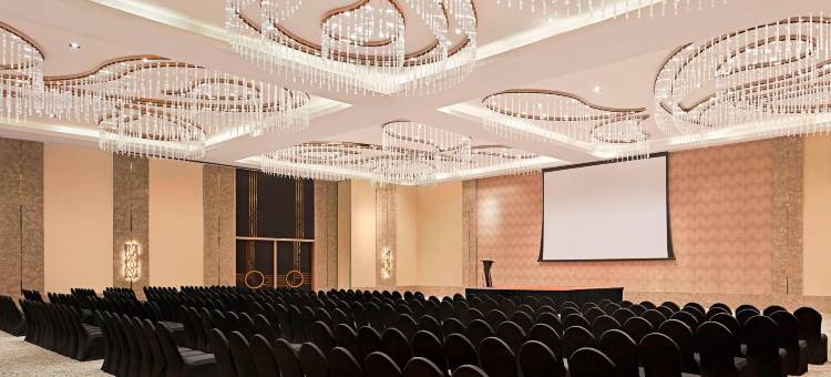 加尔各答拉加哈特威斯汀酒店(The Westin Kolkata Rajarhat)图片