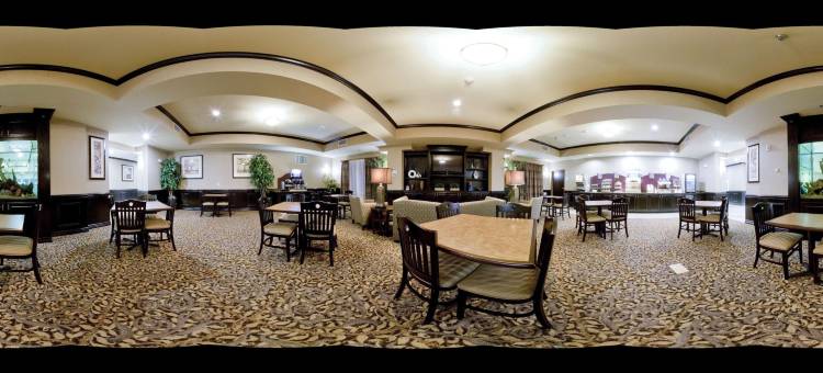 智选假日套房酒店科珀斯克里斯蒂(Holiday Inn Express & Suites Corpus Christi)图片