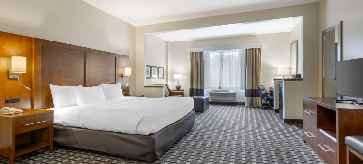 萨默维尔 - 查尔斯顿舒适酒店(Comfort Inn Summerville - Charleston)图片