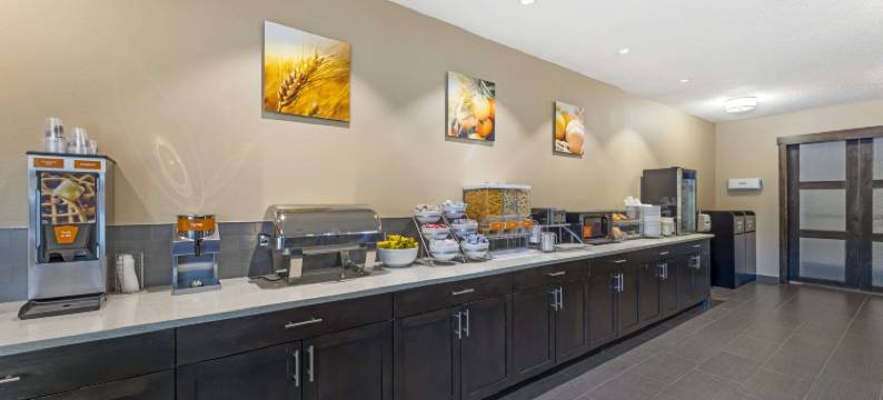 温哥华购物中心附近舒适套房酒店(Comfort Suites Near Vancouver Mall)图片